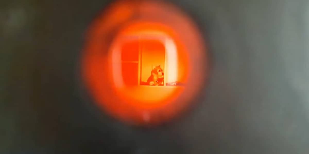 Поиск скрытых камер с помощью оптического детектора 