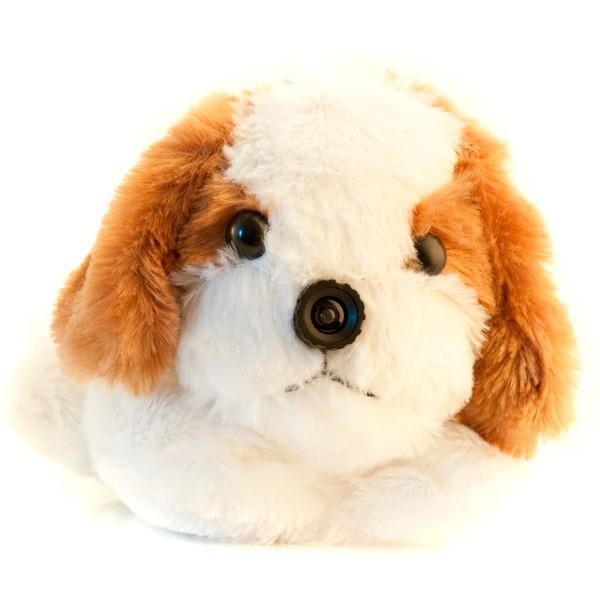 Скрытая камера в игрушке