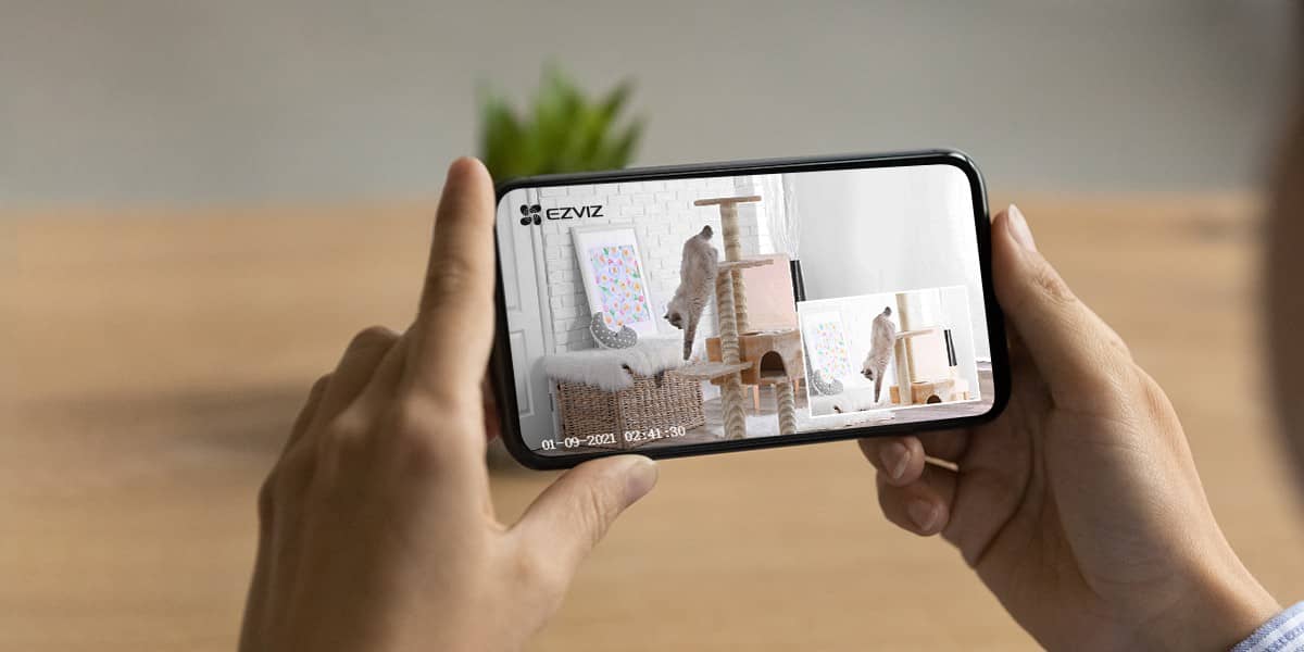 Онлайн трансляция с камеры на телефон