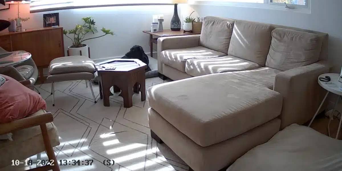 EZVIZ CB2, образец записи в дневное время