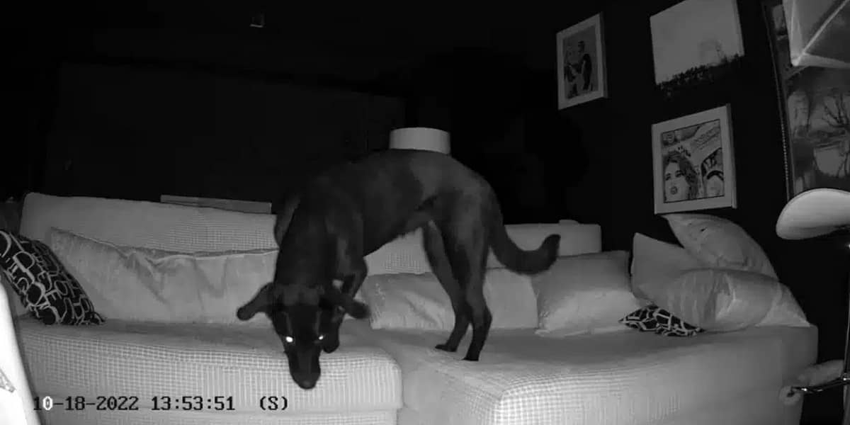 EZVIZ CB2, образец записи в ночное время