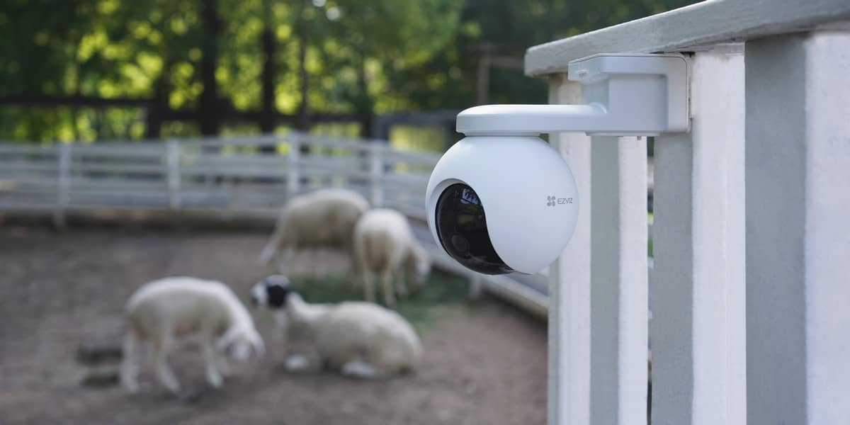 EZVIZ EB8 4G на ферме