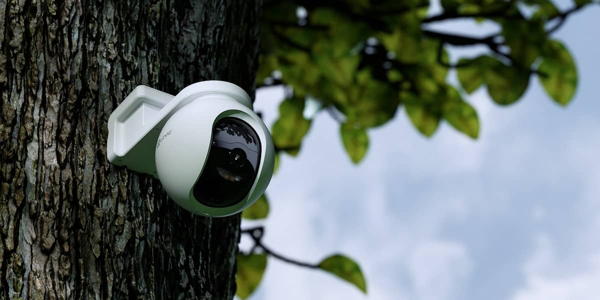 EZVIZ EB8, установлена на дереве