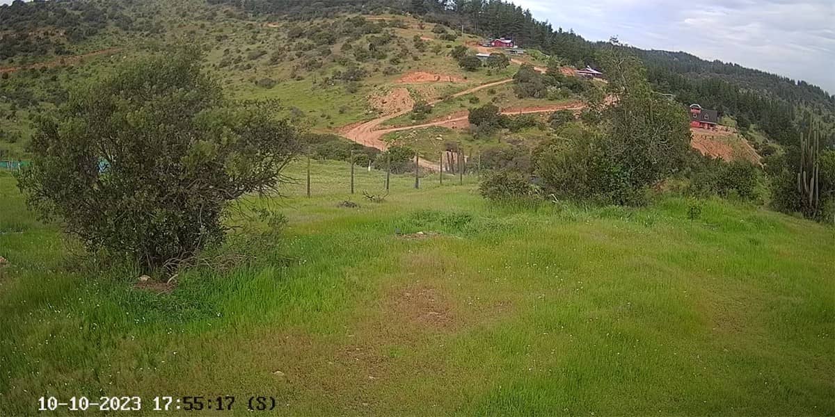 EZVIZ H8c, образец записи днем